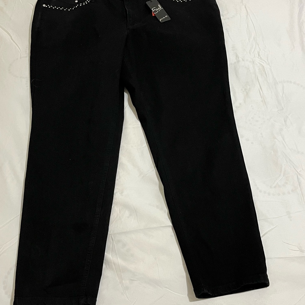 Earl Jeans Black Straight Leg Women's Jegging Jeans Size 24W New with Tags